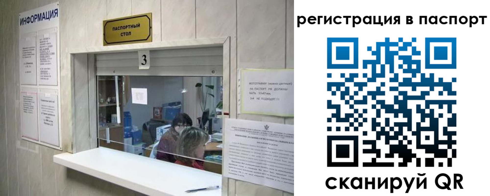 прописка поиск в Россоши
